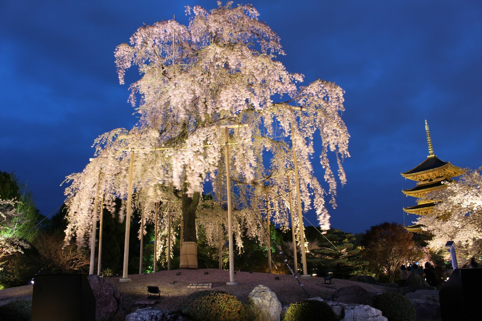 Stay Sakura Kyoto Toji West I Экстерьер фото