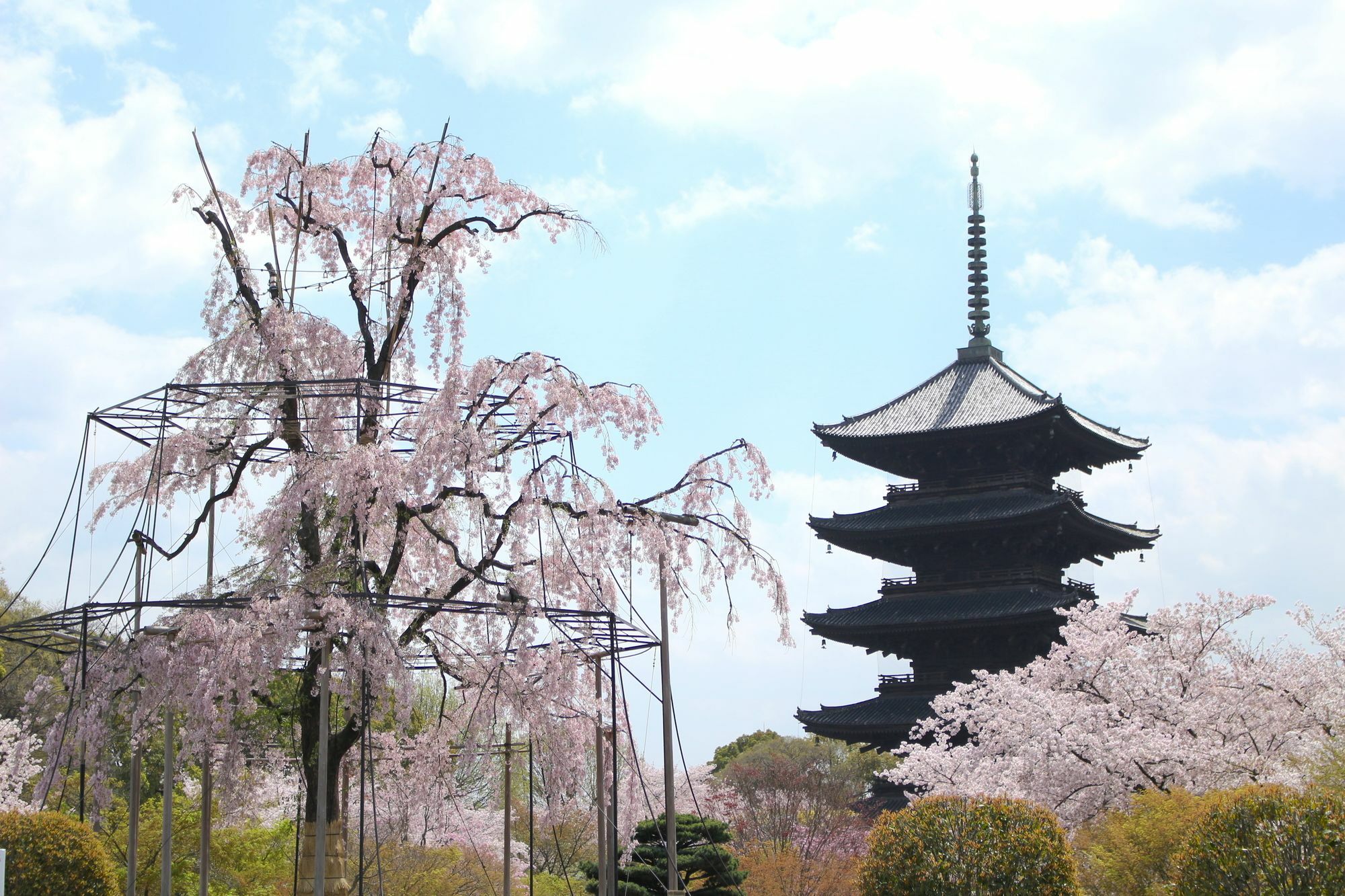 Stay Sakura Kyoto Toji West I Экстерьер фото