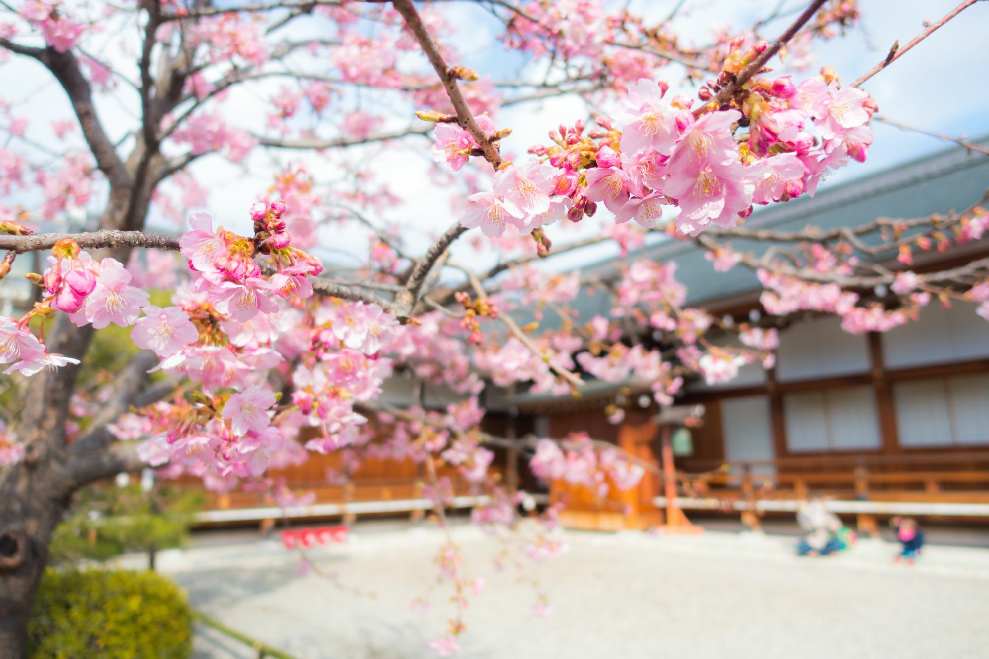 Stay Sakura Kyoto Toji West I Экстерьер фото